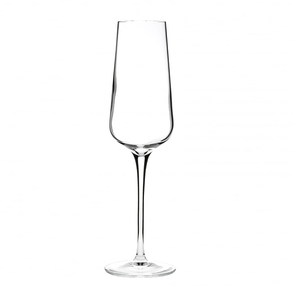 Intenso Champagne Flute - 24cl